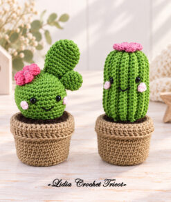 Tutorial PDF amigurumi Cactus Kawaii Boutique Lidia Crochet Tricot